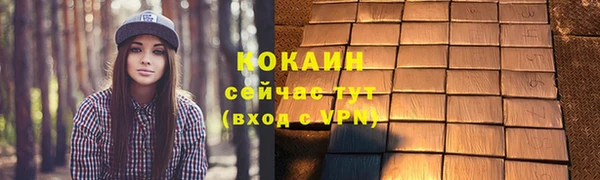 тгк Арсеньев