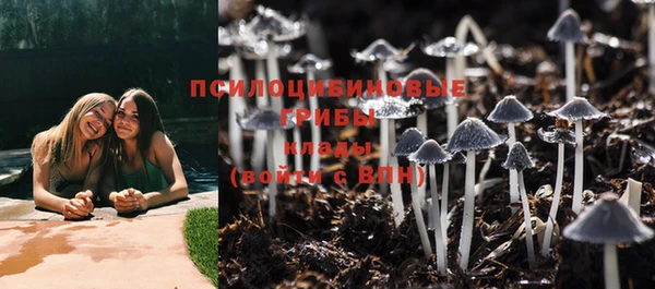 шишки Баксан