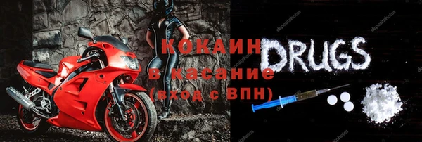 шишки Баксан