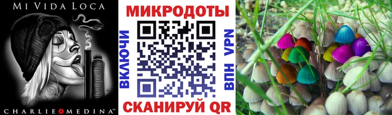 как найти закладки мориарти официальный сайт Галлюциногенные грибы Magic Shrooms Калязин